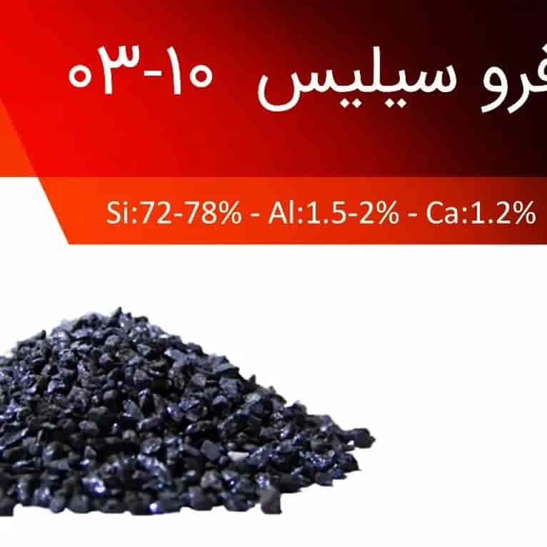 فروسیلیس ۱۰ _۳